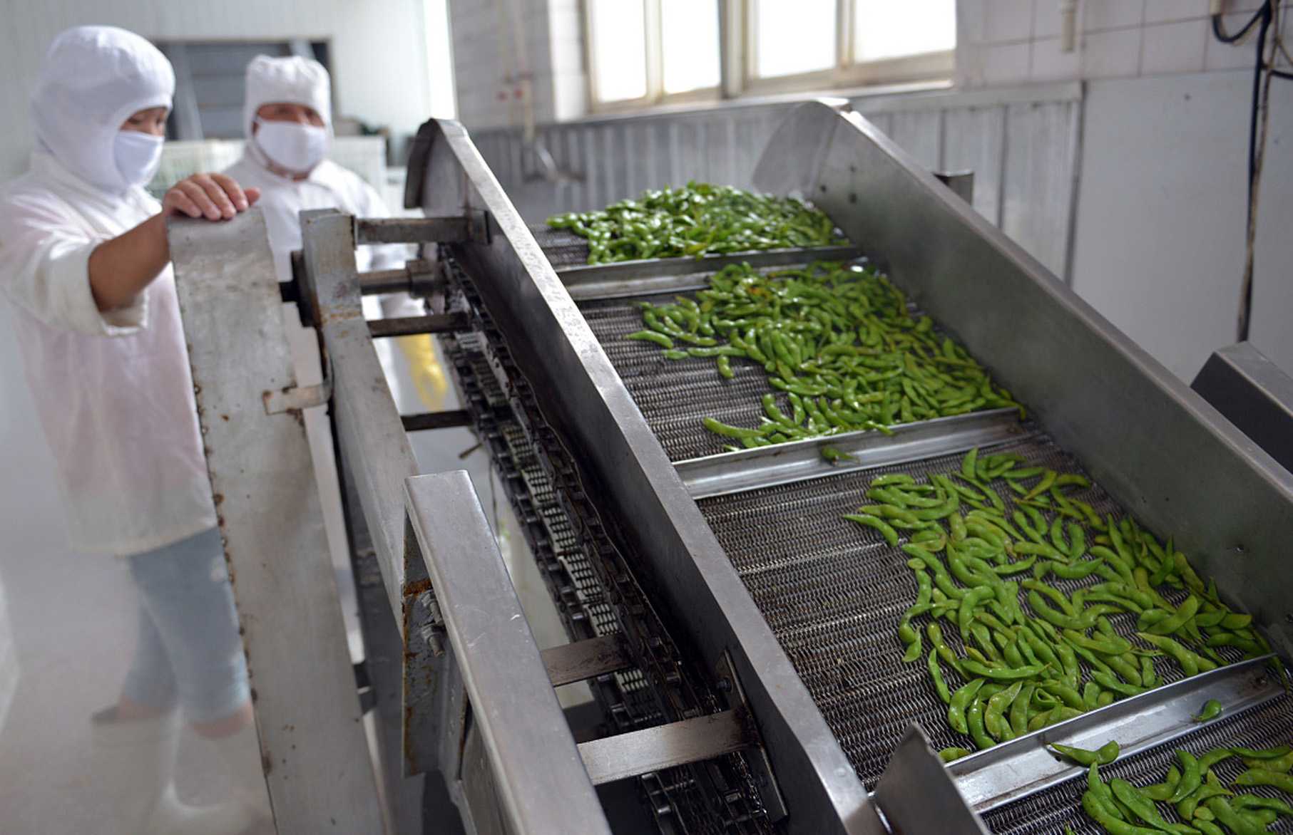 智能凈菜包裝機，引領健康生活潮流——揭秘高效包裝新科技