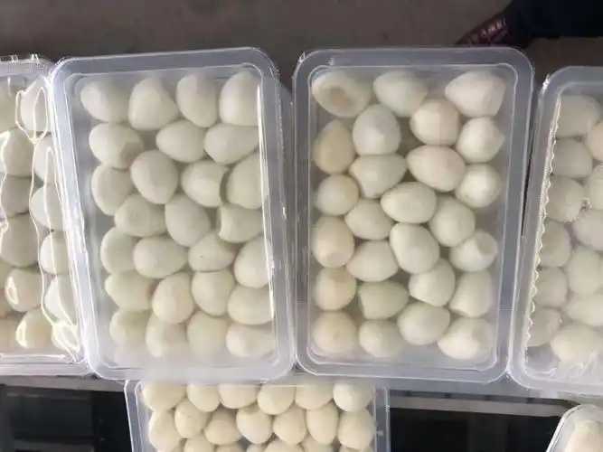 整線(xiàn)解決方案，優(yōu)化生產(chǎn)流程：鵪鶉蛋包裝神器來(lái)襲