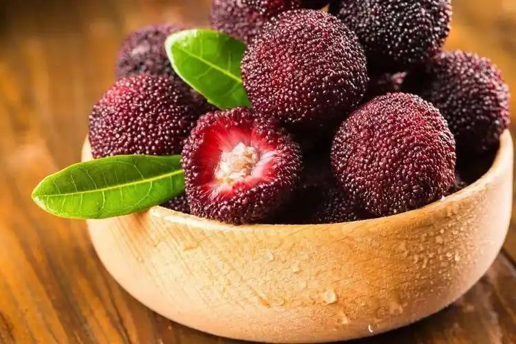 1736926339477094.jpg 楊梅汁02.jpg